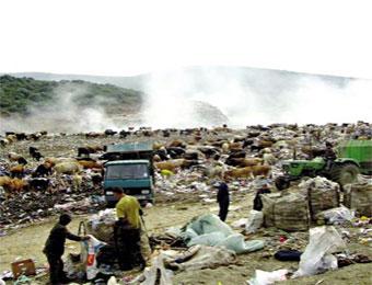 ردم 200 طن من النفايات يوميا في مركز “الزفزاف” بسكيكدة