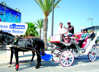 Des journalistes se font pilotes pour redécouvrir la Tunisie