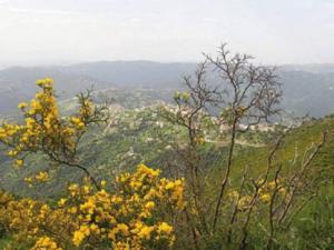 Iboudrarène, sur les hauteurs du Djurdjura: l'écologie des villages et le martyre des singes