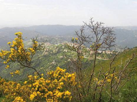 Iboudrarène, sur les hauteurs du Djurdjura : l'écologie des villages et le martyre des singes