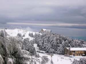 Chréa, (en tamazight de l'Atlas Blidéen : ⵛⵔⵉⵄⴻⵝ)