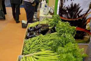 معرض ينتهي بإنتهاء زيارة وزير الفلاحة إلى الشلف