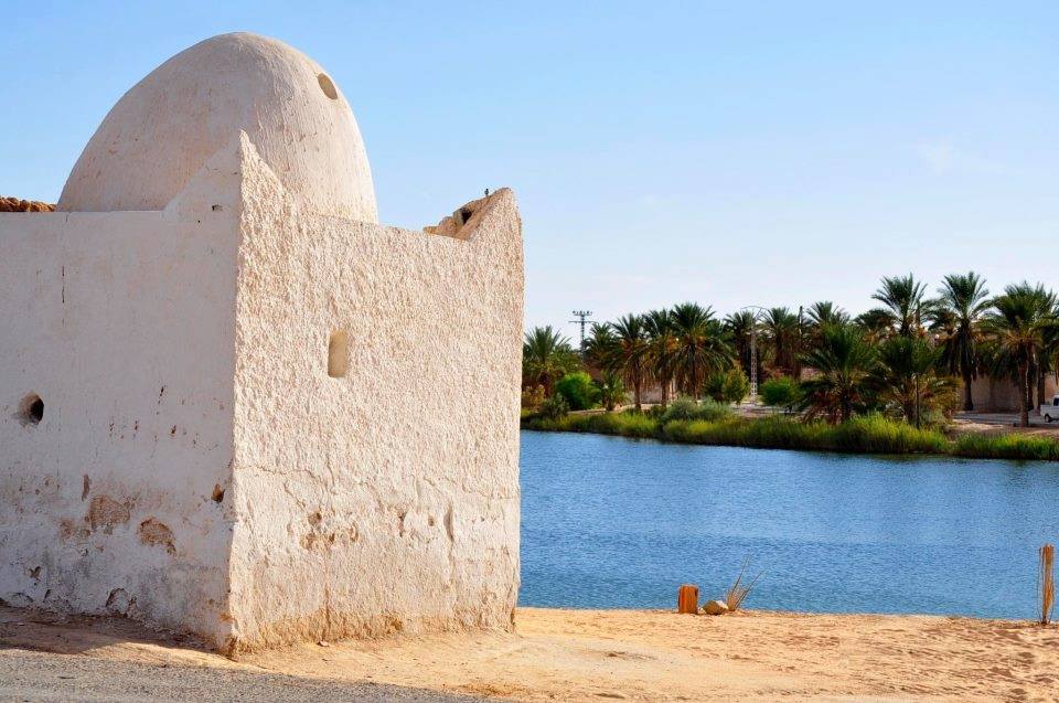 Lac de Temacine wilaya de Ouargla