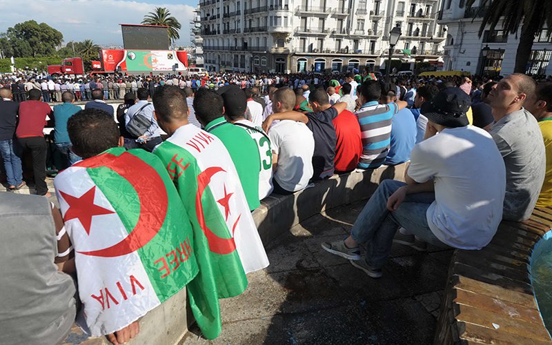 شاشات عملاقة لنقل مباريات الخضر بالعاصمة