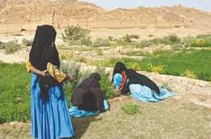 La femme oasienne au coeur des débats