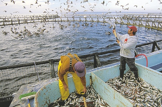 Un jeune promoteur dépossédé de son projet