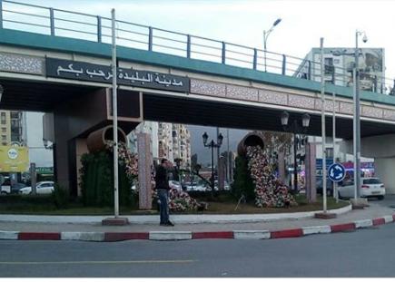 متى تعود الورود الحقيقية إلى مدينة البليدة