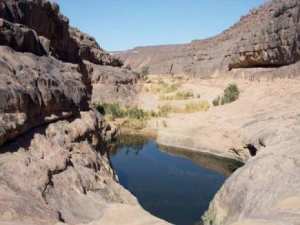 Un atelier de cofinancement et de gestion collaborative à Illizi