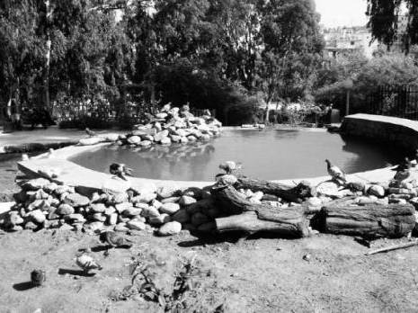 Un petit éden en plein centre d'Alger