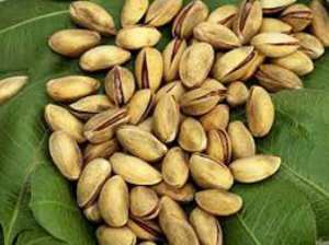 Culture du pistachier en Algérie