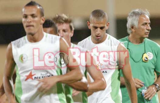 Halilhodzic ne veut rien céder aux Maliens !