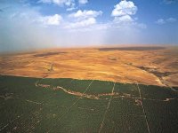 Lutte contre la désertification : l'Afrique s'inspirera de l'expérience algérienne du barrage vert (expert)