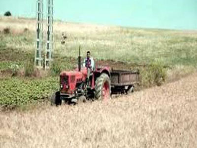 Exploitations agricoles à Oran