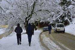 انسداد عدة محاور بنسب متفاوتة في تبسة