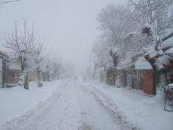 الجيش والدرك يتدخلان لانتشال مرضى ونساء حوامل من بين الثلوج بجبال جيجل