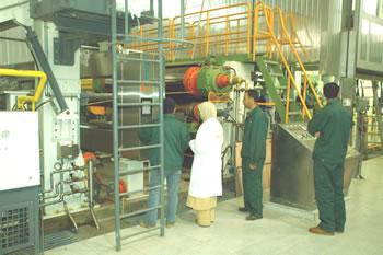 Tonic industrie mise sur le marché local