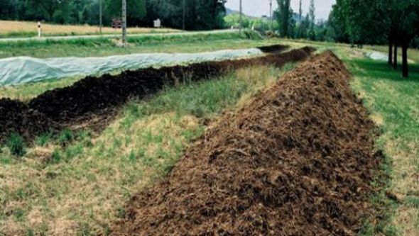 اتفاق بين المنظمة غير الحكومية 