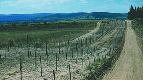 Début de la bataille des frontières