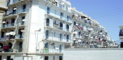 Installées sur les balcons, elles amochent les immeubles