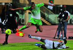 Les Verts ratent le coche