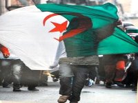 L'emblème national dans toute sa splendeur à Oran