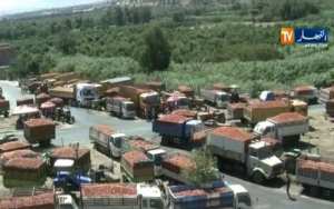 فلاحو شعبة الطماطم من 3 ولايات يحتجون للمطالبة بمستحقات تفوق 26 مليار سنتيم في الطارف