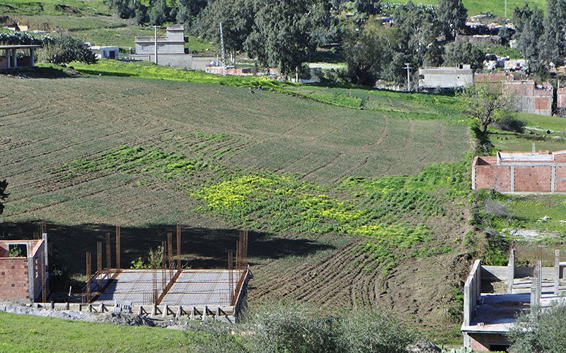 الإطاحة بعصابة مختصة في الاحتيال على طالبي شراء قطع أراضي للبناء في عنابة