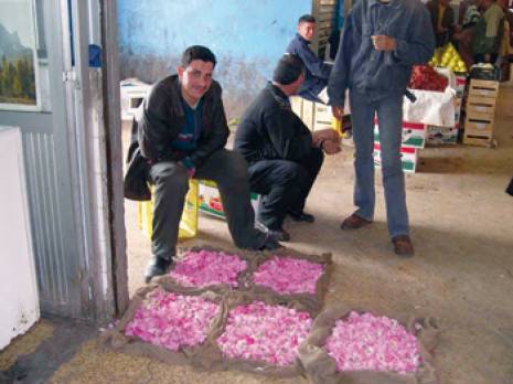 Distillateurs d'arômes de fleurs - Une histoire constantinoise