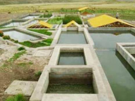 Aïn Temouchent - 80.000 m3 d'eaux épurées sont gaspillés