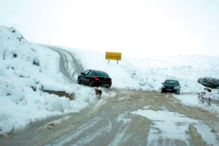 شلل في الحركة المرورية ومناطق معزولة بالشلف