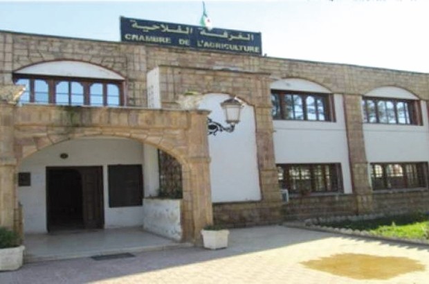 Les apiculteurs de Bouira s'organisent