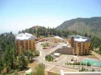 مشروع سياحي جديد بمنطقة امشدالة في البويرة