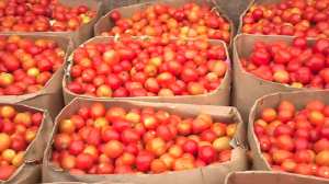 Le développement mis aux calendes grecques