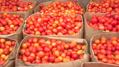 Le développement mis aux calendes grecques