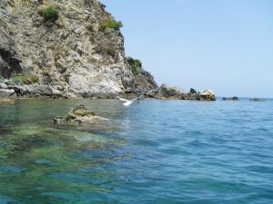 Tous unis pour s'exprimer