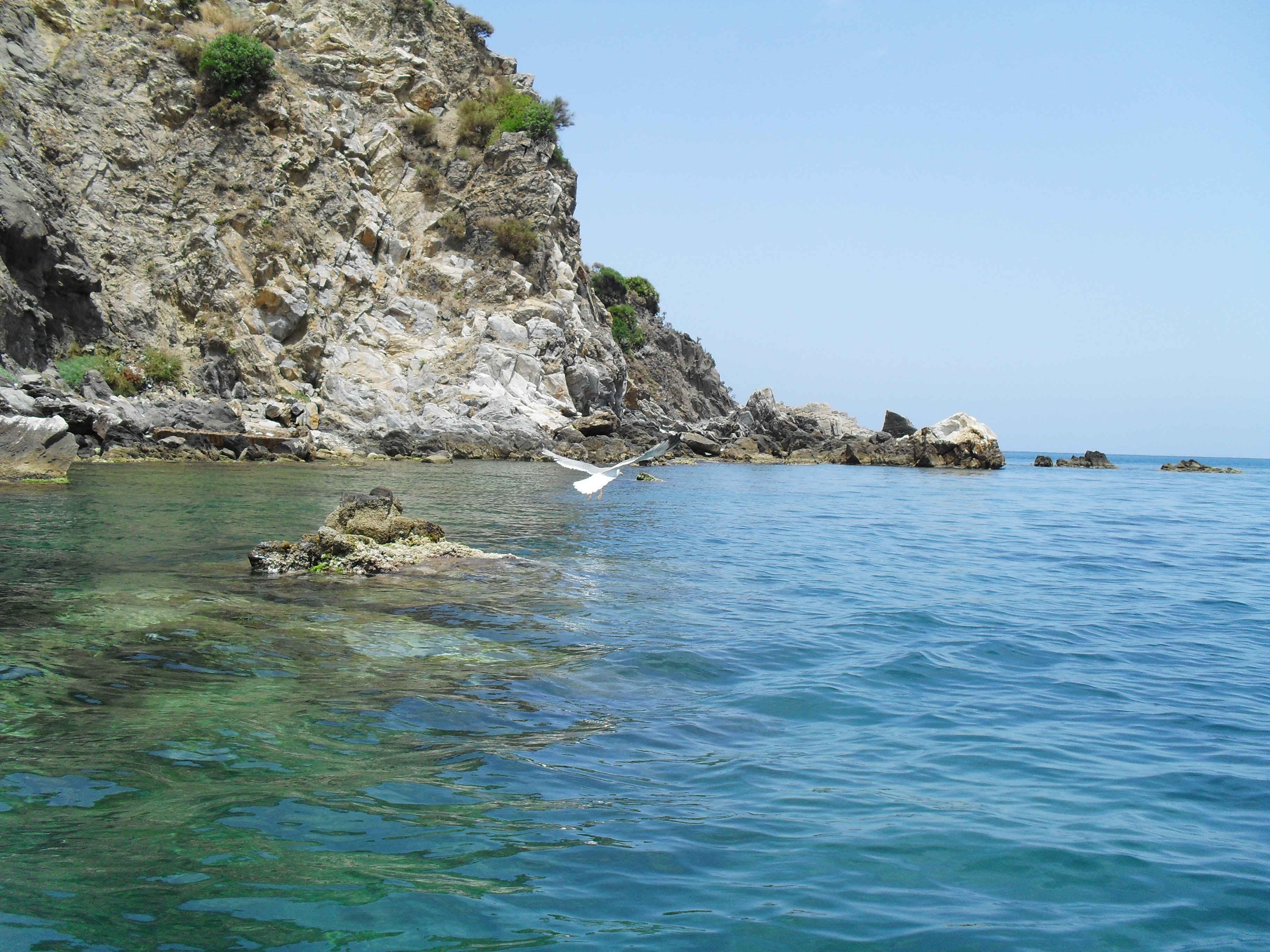 Tous unis pour s'exprimer