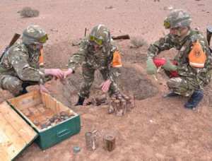 Le pari réussi de l'ANP