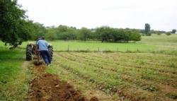 درك عين ولمان بسطيف يحيل 7 فلاحين على العدالة