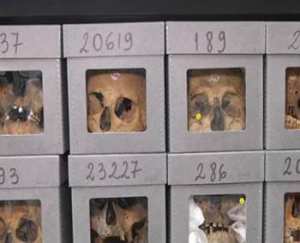 L'Algérie y tient toujours