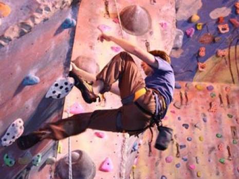 Comme un lézard sur un rocher