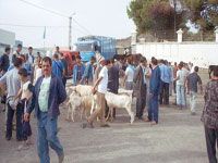 Yatafène (Tizi Ouzou)