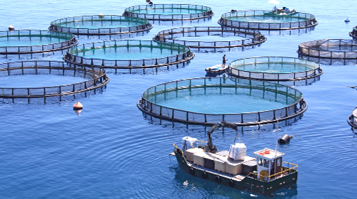 La phase production entamée