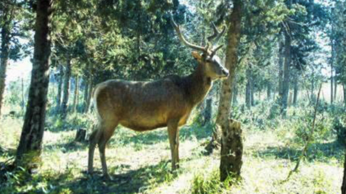 Mise sur pied d'une commission nationale des aires protégées