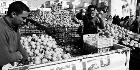 La Banque d'Algérie suspend les crédits pour l'importations des agrumes et des légumes