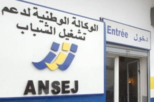 L'Ansej favorise la création de 2 000 postes d'emploi