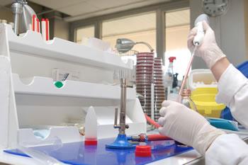 La grogne des laborantins