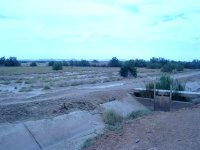 L'expérience algérienne en matière de réhabilitation des terres dégradées présentée à Rio de Janeiro