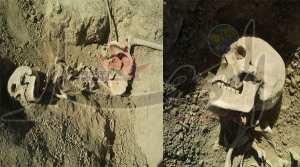 اكتشاف هياكل عظمية في العراء بمنطقة «التمامرة» في عين الدفلى