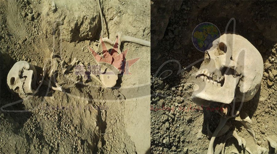 اكتشاف هياكل عظمية في العراء بمنطقة «التمامرة» في عين الدفلى