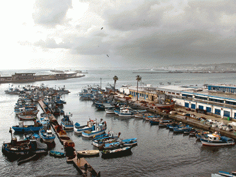 Pêcherie d'Alger